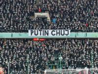 开云体育登录-荷兰落后出局，球迷集体沉默