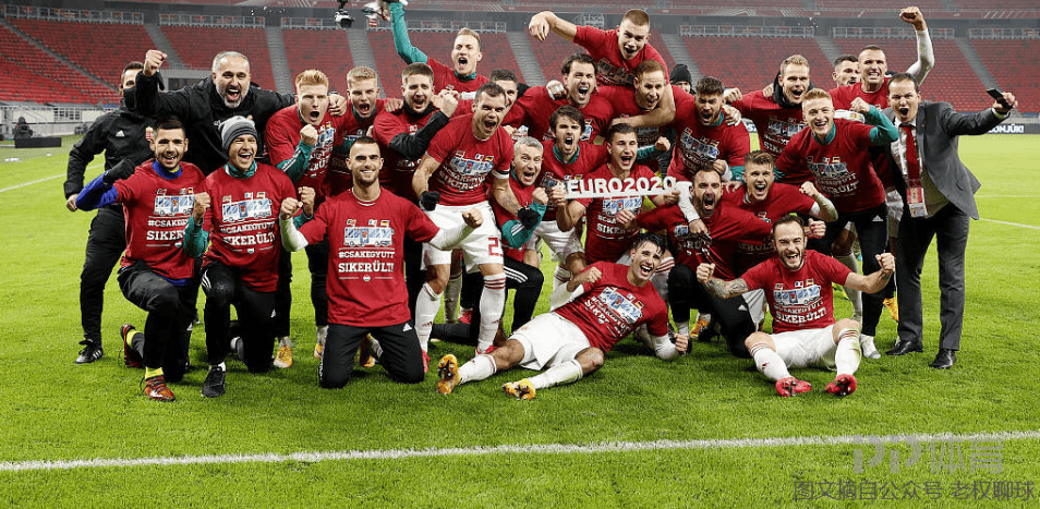 匈牙利队在欧预赛中面临重要的挑战
