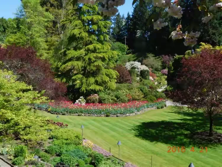 比赛节奏高低起伏，胜负焦点意外战果令人叹赏